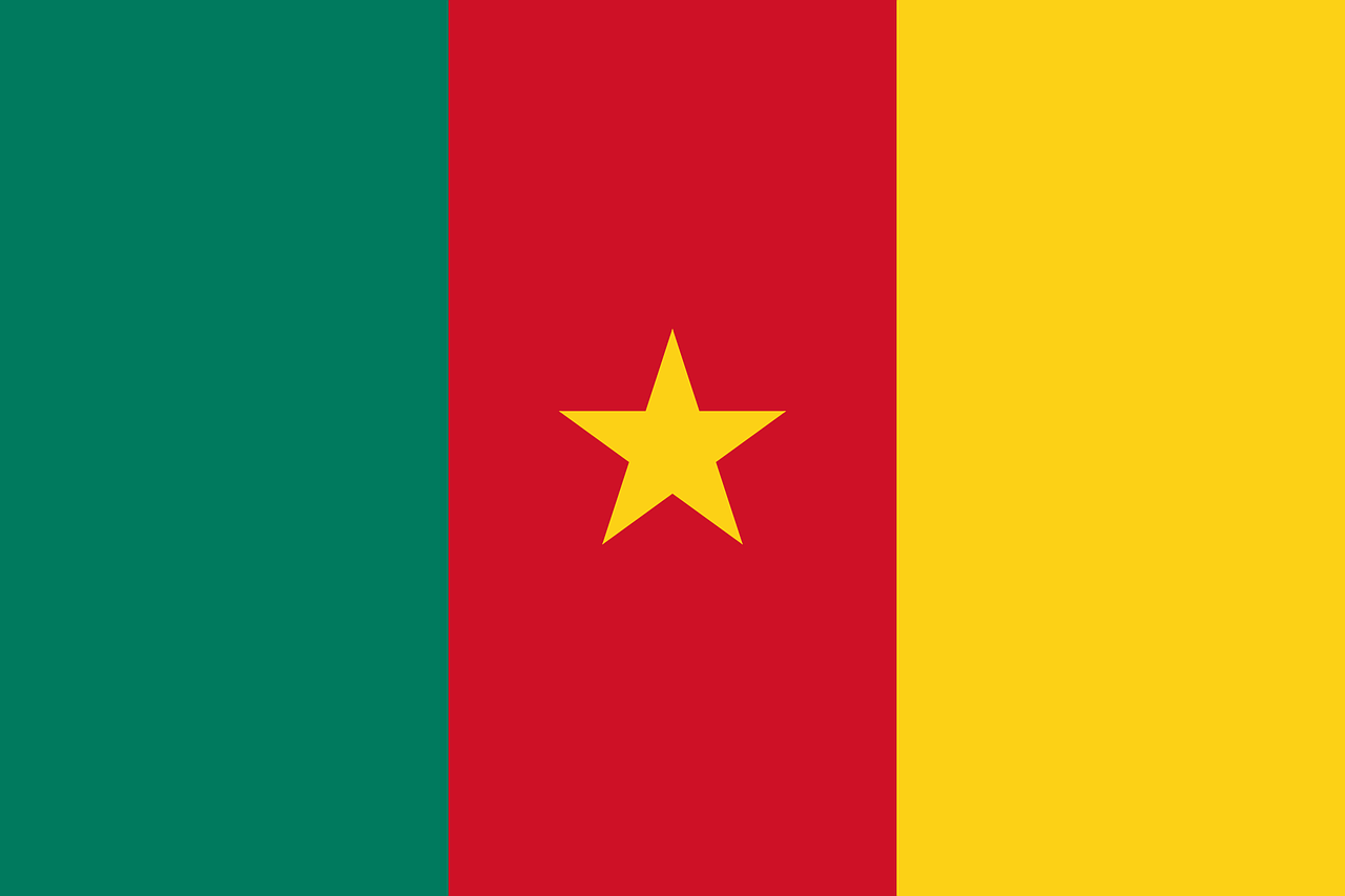 Projet 2007 : Cameroun